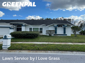 Lawn Care nearby Land O' Lakes, FL, 