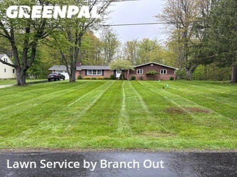 Grass Cutting nearby Elma Center, NY, 