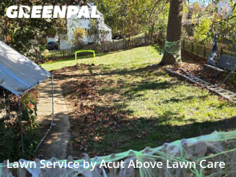 Lawn Management in Bethel Park, 15102, Yard Grooming by Acut Above Lawn Care, work completed in Nov , 2025