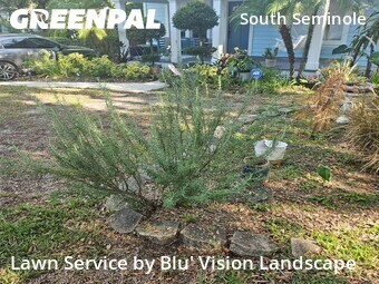 Grass Cut nearby Tampa, FL, 