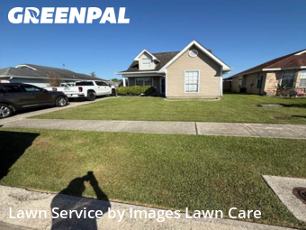 Yard Grooming in Marrero, 70072, Backyard Mowing by Images Lawn Care, work completed in Nov , 2025