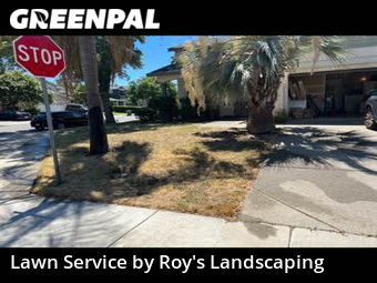 Lawn Cut nearby Tracy, CA, 