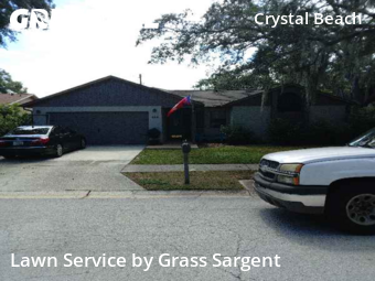 Lawn Servicein Palm Harbor,34683,Lawn Cutting by Grass Sargent, work completed in Nov , 2025