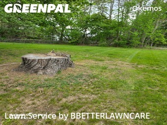 Lawn Care Service nearby Meridian Charter Township, MI, 