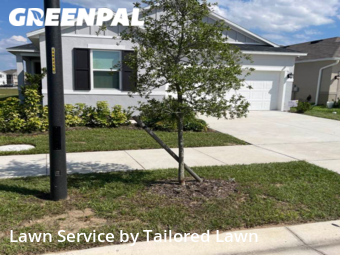 Grass Cutting nearby Davenport, FL, 