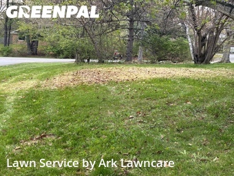 Yard Cutting nearby Rensselaer, NY, 