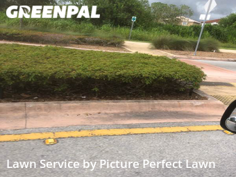 Yard Cutting nearby Cutler Bay, FL, 