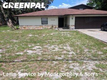 Grass Cut nearby Lakeland, FL, 