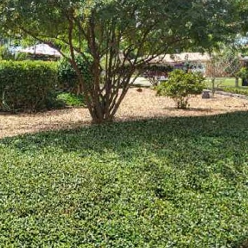 Yard mowing company in Pensacola, FL, 32526