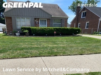 Lawn Care Service nearby Detroit, MI, 