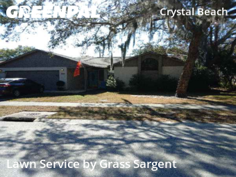 Grass Cuttingin Palm Harbor,34683,Lawn Service by Grass Sargent, work completed in Dec , 2025