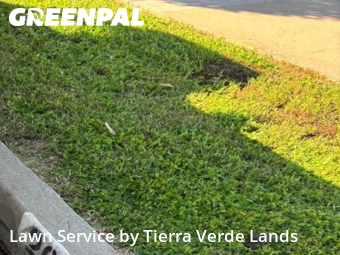 Work completed by lawn-care-experts-in-Torrance-CA