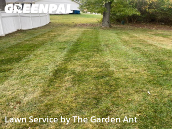 Yard Cuttingin Chesterfield,63017,Lawn Cutting by The Garden Ant , work completed in Dec , 2025