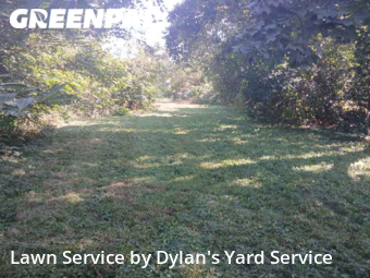 Yard Care Services in Villa Park, 60181, Yard Maintenance by Dylan's Yard Service , work completed in Dec , 2025