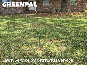 Grass Cut nearby Pensacola, FL, 