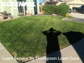 Lawn Cut nearby Sparks, NV, 