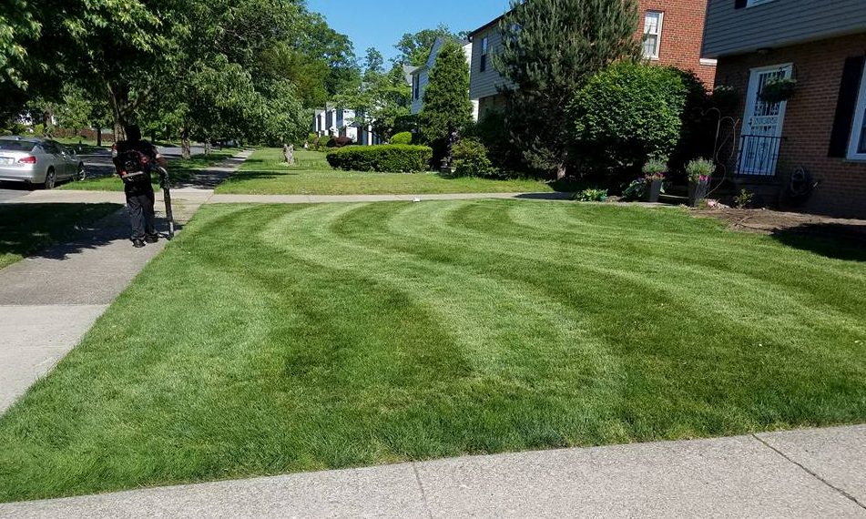 Yard Art Lawn Care Services in Cleveland, OH