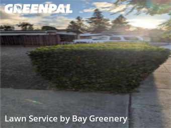Work completed by grass-cutting-businesses-in-Sunnyvale-CA