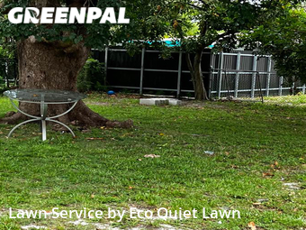 Lawn Mowing nearby Fort Lauderdale, FL, 