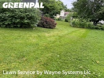 Lawn Care nearby Columbia, MO, 