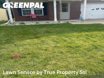 Lawn Care nearby Greenwood, IN, 