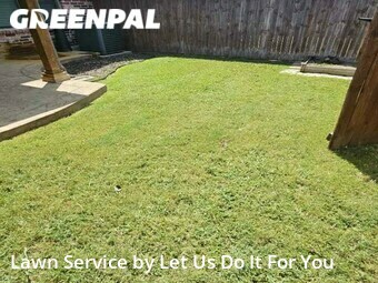 Yard Cutting nearby Allen, TX, 