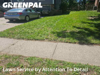 Grass Cut nearby Lee's Summit, MO, 