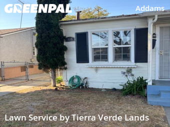 Yard Cutting nearby Long Beach, CA, 