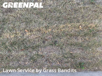 Lawn Service nearby Billings, MT, 
