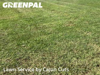 Lawn Service nearby Murfreesboro, TN, 