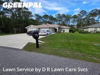 Grass Cut nearby Palm Coast, FL, 