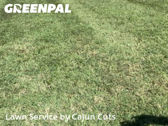 Yard Cutting nearby Walterhill, TN, 