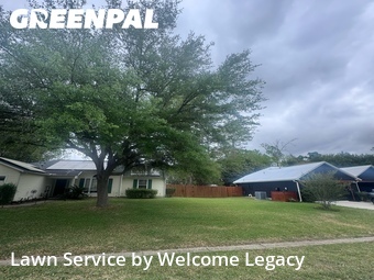 Grass Cut nearby Alachua, FL, 