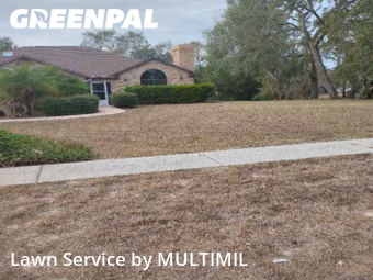 Yard Grooming in Spring Hill, 34609, Yard Cutting by MULTIMIL , work completed in Dec , 2025