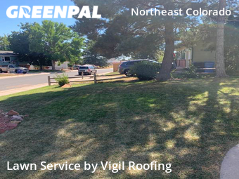Yard Cutting nearby Colorado Springs, CO, 