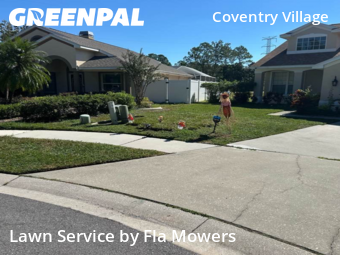 Lawn Care Service nearby Palm Harbor, FL, 