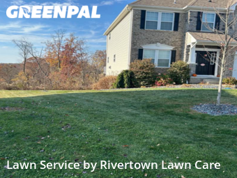 Yard Cutting nearby Beaver, PA, 