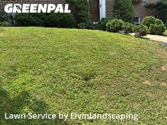 Lawn Mow nearby Parkville, MD, 