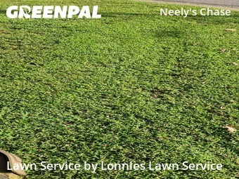 Lawn Work in Madison, 37115, Lawn Care by Lonnies Lawn Service, work completed in Oct , 2025