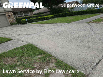 Grass Cut nearby Tampa, FL, 