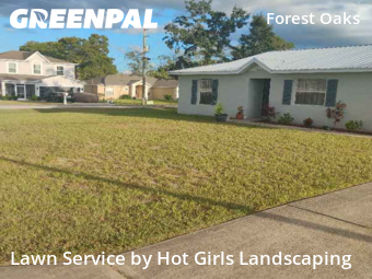Lawn Service nearby Spring Hill, FL, 