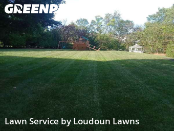Lawn Management in Ashburn, 20147, Yard Upkeep by Loudoun Lawns, work completed in Nov , 2025