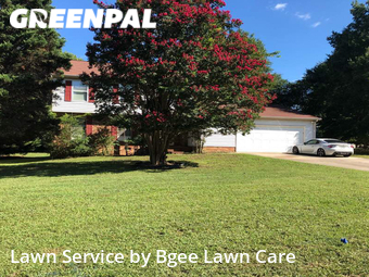 Yard Cutting nearby Charlotte, NC, 