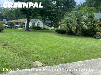 Grass Cutting nearby Charleston, SC, 