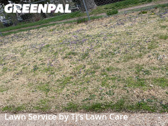 Lawn Cutting nearby Bridgeton , MO, 