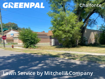 Lawn Care Service nearby Detroit, MI, 