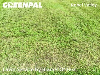 Lawn Mow nearby Atlanta, GA, 