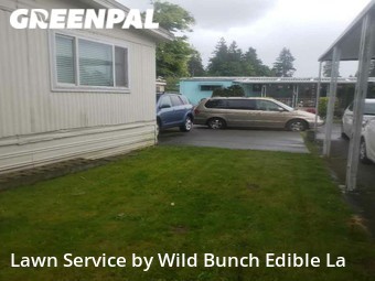 Yard Cutting nearby Auburn, WA, 