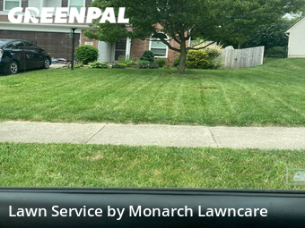 Grass Cut nearby Beech Grove, IN, 