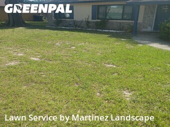 Lawn Cut nearby Ocoee, FL, 